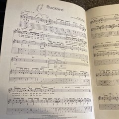 The Acoustic Guitar Sampler Music Book