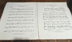 A PERFECT DAY 1914 Vintage Sheet Music LOVELY Artwork Frameable Wall Art 10&Prime;x14&Prime;