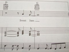 Lou Reed Words and Music Sheet Music Songbook P/V/G – Velvet Underground