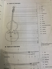 Strictly Strings, String Bass/Book 1, A Comprehensive String Method