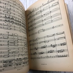 1920s Philharmonia Symphonie I Haydn Schumann Book Antique LOT No.31 115 AS IS