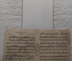 Ukulele Lady by Kahn & Whiting Hawaii Sunset Hibiscus Irving Berlin Sheet Music