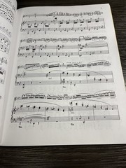 G. Schirmer Bruch Concerto in G minor Violin and Piano Sheet Music Vol. 217