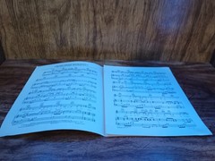 Theme From Mahogany Diana Ross Sheet Music English Vintage Pop Ballad