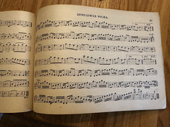 Antique 1910 IDEAL METHOD VIOLIN OPERATIC +MORE Sheet Music Ditson Co SEP WINNER