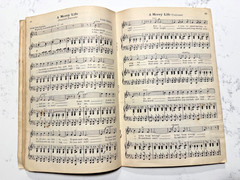 The Gray Book of Favorite Songs Songbook Hall & McCreary Co. 1924