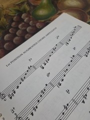 Vincent Bredice Jazz Guitar Lines Rare Book,1981 Edition 142 Pages Spiral