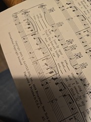 Sparrow In the Tree Top Bob Merrill Guy Mitchell Sheet Music 1951 SM1