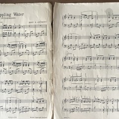 Life in Spring Five Pianoforte Pieces Piano Sheet Music Bert R. Anthony 1911