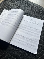 RARE Cacophony TABLATURE songbook JASON BECKER MARTY FRIEDMAN Tab