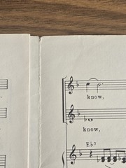 Which Way America? Words & Music By David B. Allen Arranged By Harry Simeone…