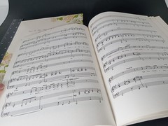 lot of 2 Wedding song books collections arranged Piano Vocals guitar religious