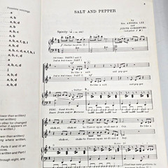 Salt And Pepper Youth Chorus Songbook Piano Vocal Hayward Christian 1971 Choral