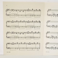 Vintage 1936 The Banjo Picker Piano Sheet Music by N Louise Wright