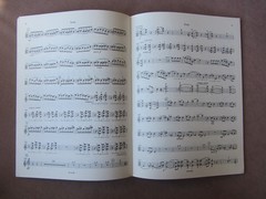 Vintage Ivan Erod Violakonzert Viola Concerto + Piano Doblinger Austria