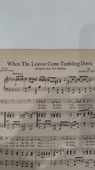 Leo Feist When The Leaves Come Tumbling Down Sheet Music 1923 Piano Fox Trot
