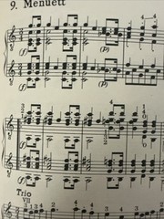 Mozart Haydn Shubert Classical guitar Sheet Music 14 Pieces Nagel -19 Pages 1964