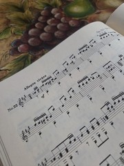 Mauro Giuliani 25 Etudes For Classical GuitarRare Book,Zen-On Series Jap Edition