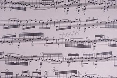 Bach Sonatas & Partitas Violin Solo Book IMC with Facsimile of Manuscript 2525