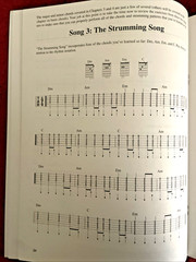 Teach Yourself to Play Guitar: A Quick and Easy Introduction for Beginners 2004