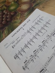 Manuel M.Ponce Concerto Del Sur For Guitar And Orchestra Rare Book,80 Pages