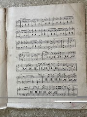 Beautiful Blue Danube By Strauss Antique Piano Sheet Music 1902