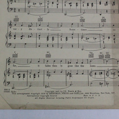 Vintage Sheet Music Lot of 8 Musical Folk Pop Jazz Waltz Songs & 2 Loose Leaf