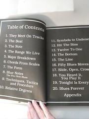 Blues Guitar Inside & Out 1994 Richard Daniels History and Chords Instructional