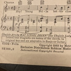 « Hey! Young Fella&rsquo;, Fields/McHugh Vintage Sheet Music Circa 1933, Robbins Music