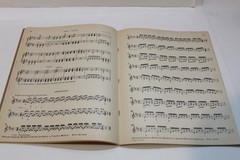 Littig&rsquo;s Practical Method Ukulele Tiple Chart Music Book Enlarged Edition 1928