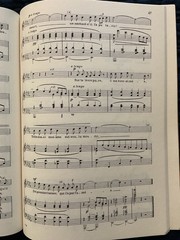 Chausson 20 Songs for High Voice and Piano SC No 1130 International Music French