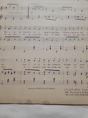 1904 Sheet Music  » I Wants To Pick A Vone With You » Rare Professional Copy