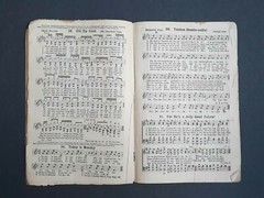 Twice 55 Community Songs I hear America Singing 1919 C C Birchard & Co Boston