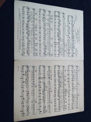 Vintage Sheet Music : « Hula Lou » – Margaret Young – Piano & Voice – 1924