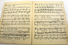 Brahms Two Songs Zwei Gesange OP.91 for Contralto with Viola & Piano Song Book
