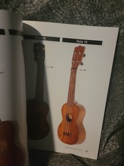 Hal Leonard Martin Ukulele Little Instrument That Helped Create A Guitar Book