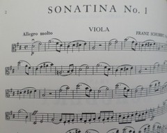 Schubert Sonatina No.1 in D Major opus 137 for Viola and Piano