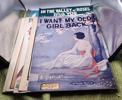 Vintage Sheet Music Assorted Lot Of 10 Used Guitar Ukulele Vocals Piano lyrics