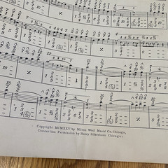 Vintage 1920&rsquo;s Violin Piano Waltz Fox Trot Sheet Music Concertina Lot 25 Antique