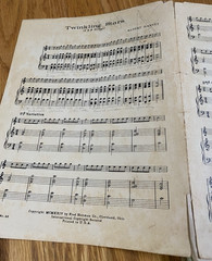 Vintage 1920&rsquo;s Violin Piano Waltz Fox Trot Sheet Music Concertina Lot 25 Antique