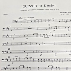 Anton Reicha Quintet in E Op 106 Horn String Quartet Music Score Parts Vintage