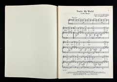 You&rsquo;re My World Il Mio Mondo 1965 VTG English Italian Sheet Music Piano Sigman