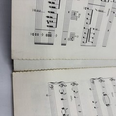 Neil Diamond Beautiful Noise Sheet Music Song Book Piano Guitar Stonebridge 1976