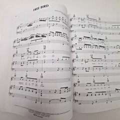 Acoustic Classics Piano Vocal Guitar Sheet Music Book Chords Lyrics 42 Songs