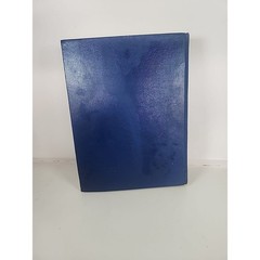 Orion Blue Book For Guitars And Other Musical Instruments Vintage Price Guide