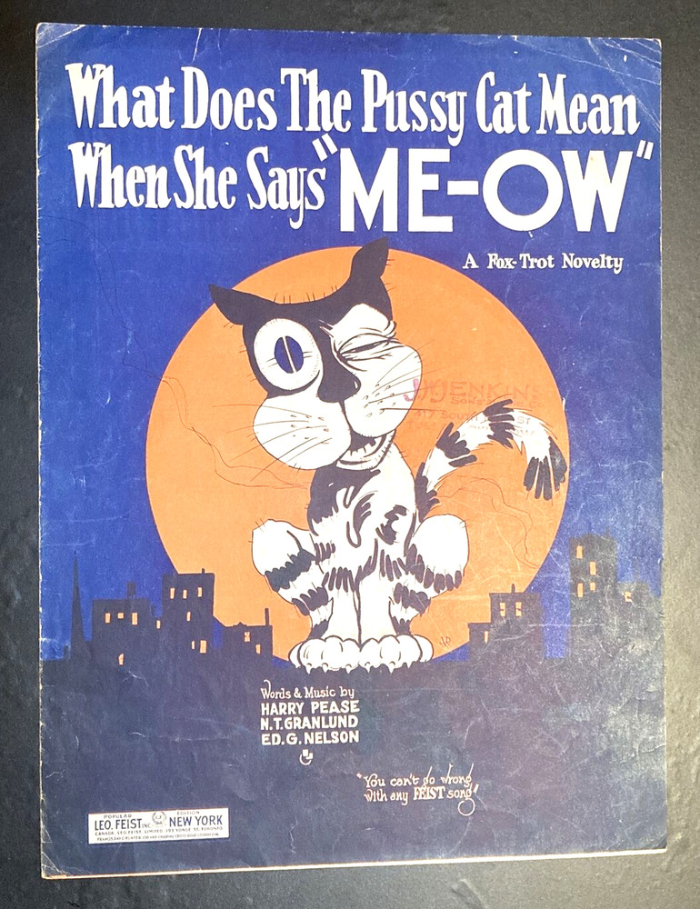 1924 Foxtrot Sheet Music Alley Cat Orange Moon What Does the Pussycat Mean