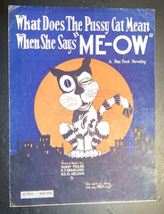 1924 Foxtrot Sheet Music Alley Cat Orange Moon What Does the Pussycat Mean