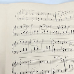 On the Beautiful Blue Danube Sheet Music Piano Johann Strauss Op 314 1901 Waltz