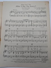 1926 What Can I Say After I Say I&rsquo;m Sorry? Sheet Music Bee Palmer Jazz Art Deco