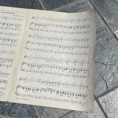 WATCH WHAT HAPPENS from UMBRELLAS OF CHERBOURG sheet music Michel Le Grand 1965